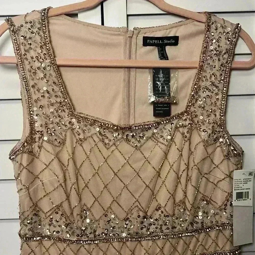 Adrianna Papell Blush Lace Dress - Picture 10 of 16